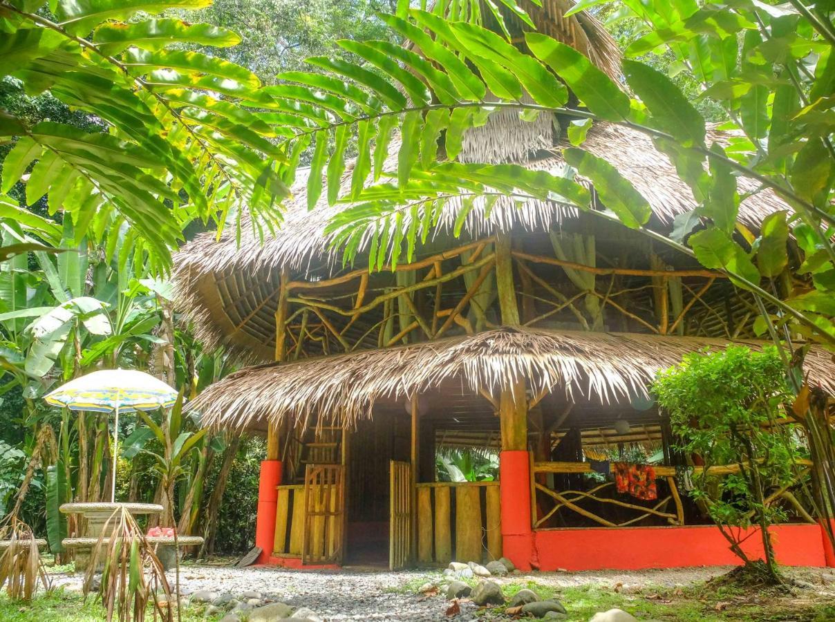 Casa Moabi Bed & Breakfast Cocles Oda fotoğraf