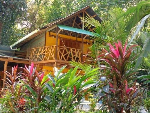 Casa Moabi Bed & Breakfast Cocles Dış mekan fotoğraf