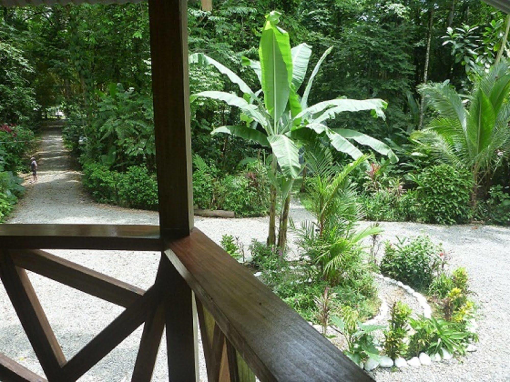 Casa Moabi Bed & Breakfast Cocles Dış mekan fotoğraf
